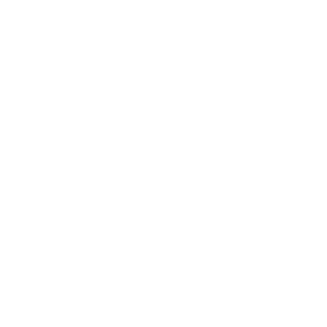WayChooser logo